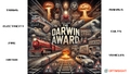 featured image thumbnail for post Darwin Award: The One Award You Do Not Want to Get